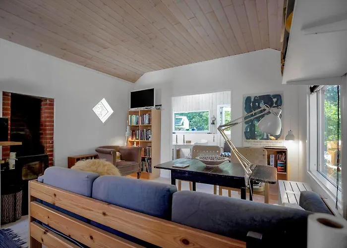 12299-sjaellands-odde-engvibevej-4 *